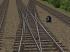 Normalspur BW und Bahnhofs DRG/DB W im EEP-Shop kaufen